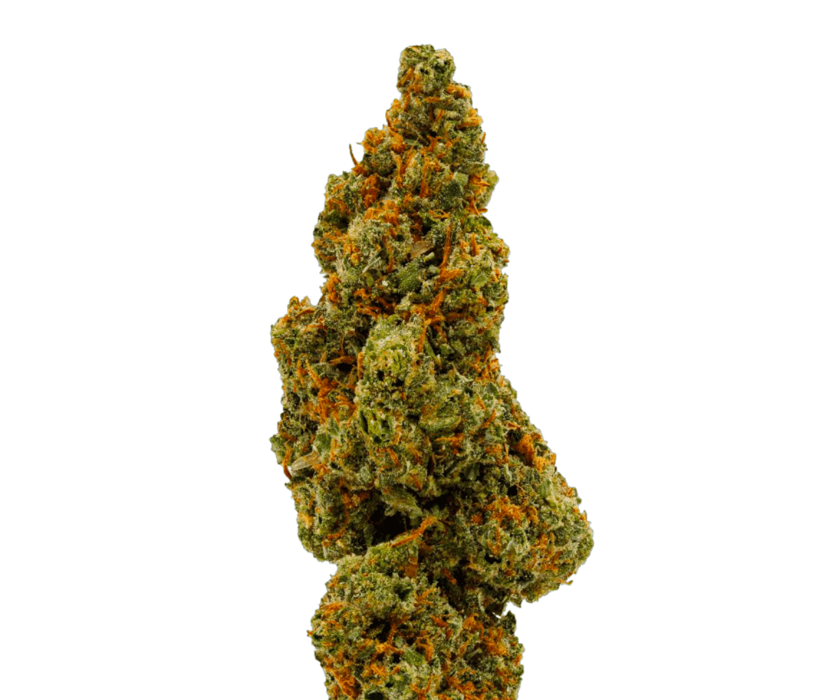 Sinceritas Sativa Verum 24/1 Kush Mintz | Cannazen Sinceritas Sativa Verum 24/1 Kush Mintz | Cannazen